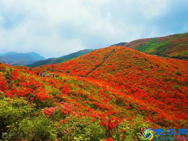 长沙十大必玩景点