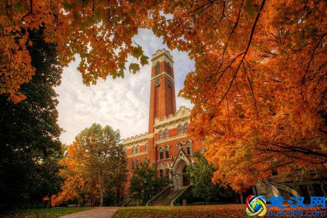 范德堡大学怎么样 大学强势专业重点解读