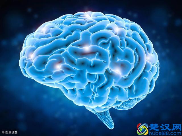 开发右脑会让孩子更聪明，别错过右脑最佳开发时间，有科学依据的