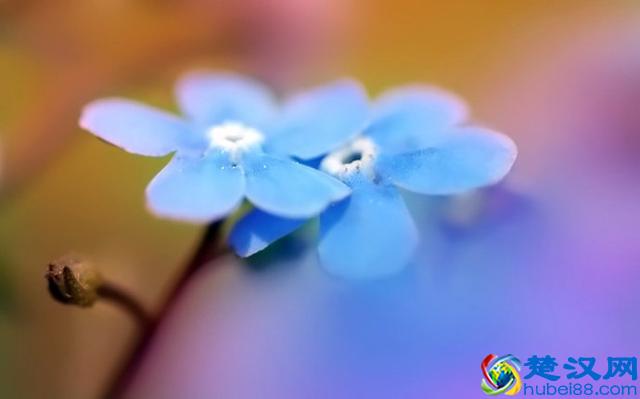 放不下一段感情一个人，就是在与自己的生命为敌