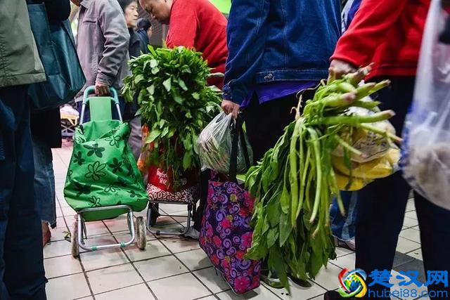 大开眼界！大爷大妈最爱去的早市，原来这么好！又新鲜又好又省钱