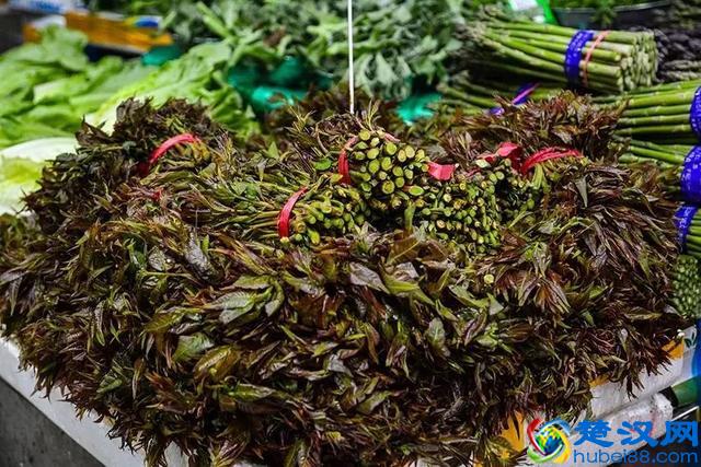 大开眼界！大爷大妈最爱去的早市，原来这么好！又新鲜又好又省钱