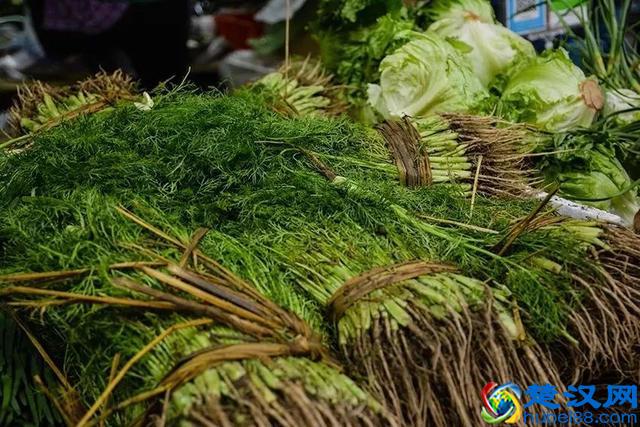 大开眼界！大爷大妈最爱去的早市，原来这么好！又新鲜又好又省钱