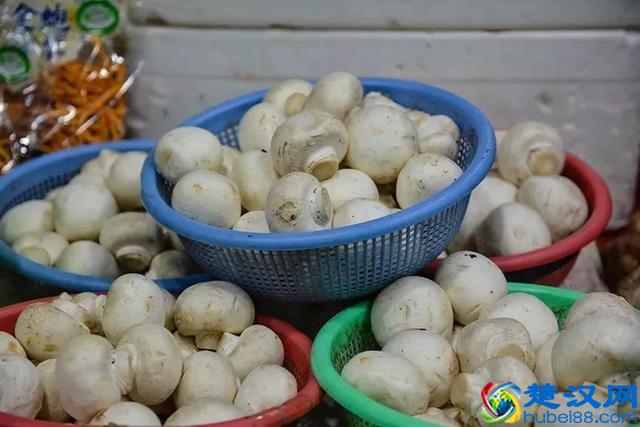 大开眼界！大爷大妈最爱去的早市，原来这么好！又新鲜又好又省钱