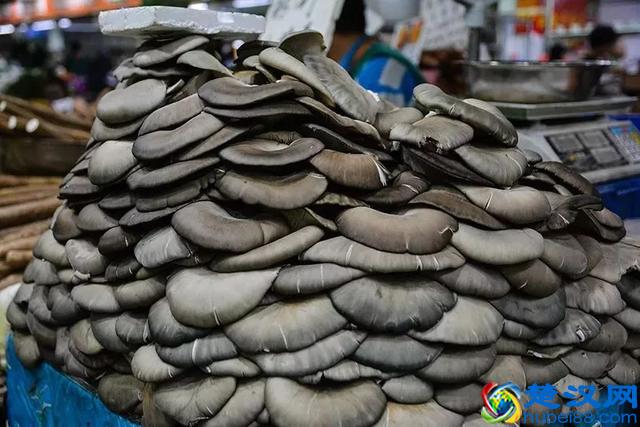 大开眼界！大爷大妈最爱去的早市，原来这么好！又新鲜又好又省钱