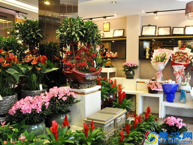 窍门：教你如何在花店选花，别再被花店老板忽悠啦！