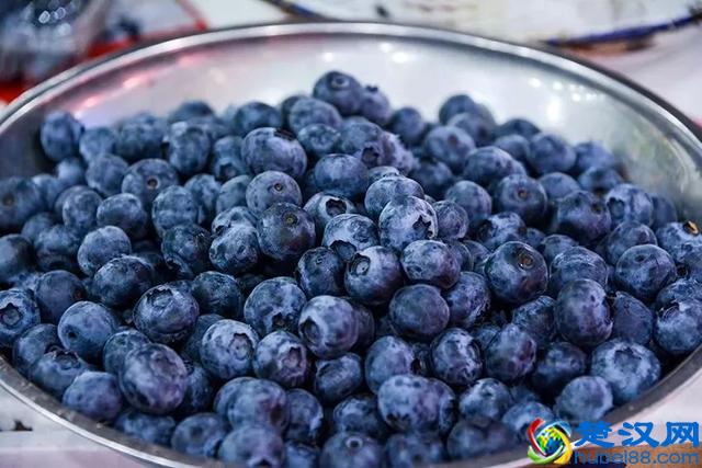 大开眼界！大爷大妈最爱去的早市，原来这么好！又新鲜又好又省钱