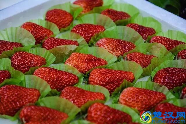 大开眼界！大爷大妈最爱去的早市，原来这么好！又新鲜又好又省钱