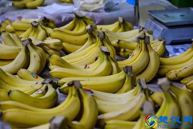 大开眼界！大爷大妈最爱去的早市，原来这么好！又新鲜又好又省钱