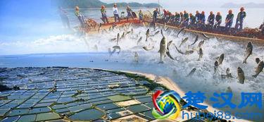 80、90后年轻人回农村能干什么？好项目值得推荐