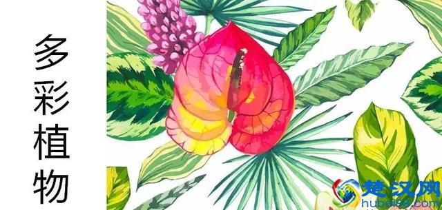 2019年开童装店卖什么款式的衣服？聪明故事带你分析春夏流行趋势