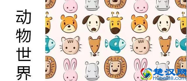 2019年开童装店卖什么款式的衣服？聪明故事带你分析春夏流行趋势