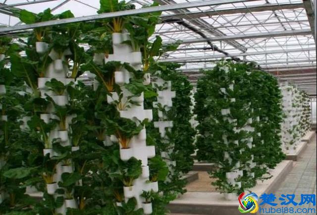 令人震撼的现代农业