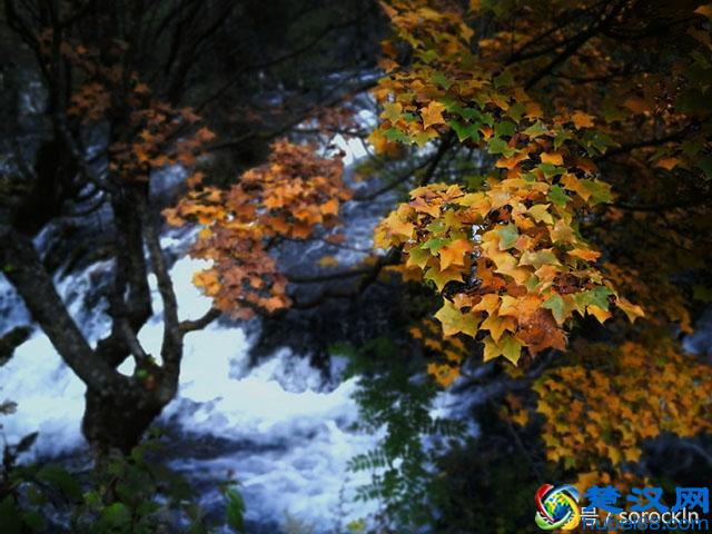 华为Mate9保时捷限量版成为华为最贵手机,拍照样张惊艳