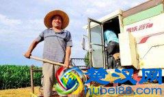 乡镇创业做哪些小项目最合适