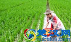 农村乡镇创业机械加工项目有那些