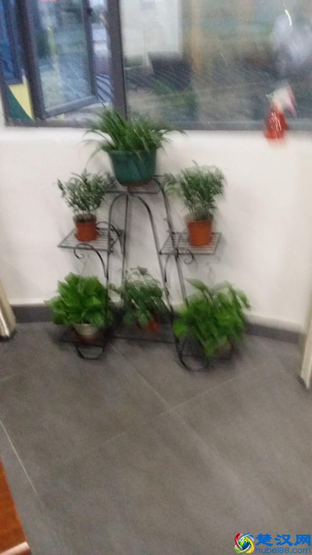 京东合作点、乡镇快递代理创业感想后续