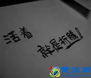 京东合作点、乡镇快递代理创业感想后续
