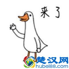 “买一只偏股基金放着20年不管？会怎样？？”