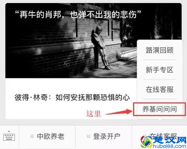 “买一只偏股基金放着20年不管？会怎样？？”
