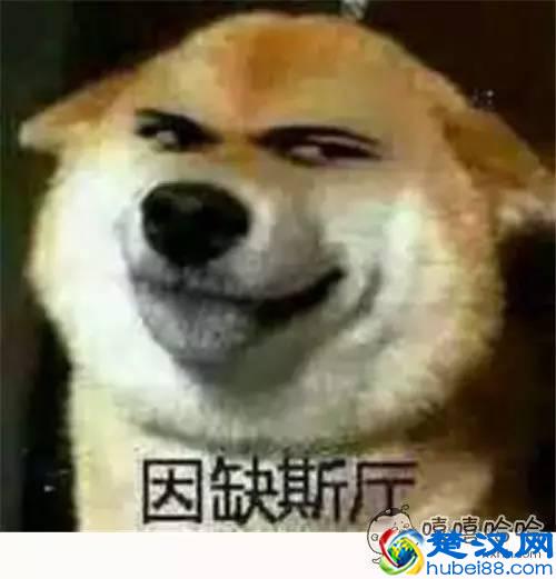 快播涉黄，寻找全世界最有”种“的男人！