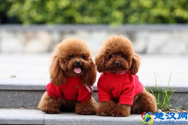 小县城做什么生意好赚钱？