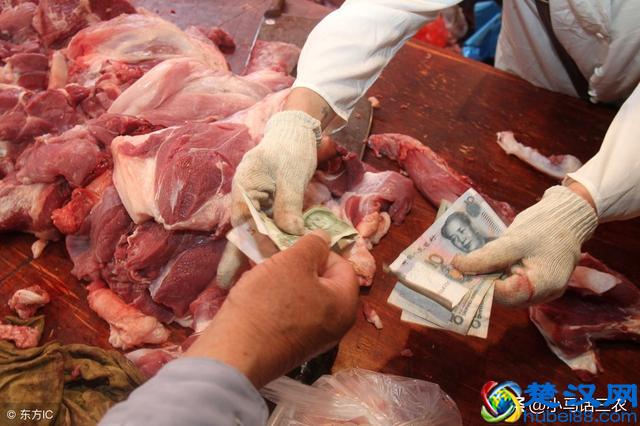 卖一头猪能挣多少钱？你知道答案吗