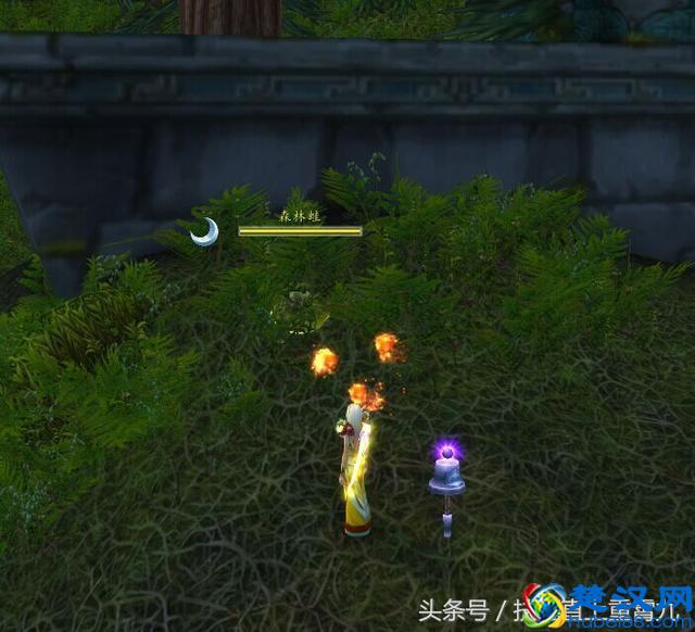 快！魔兽世界拯救“青蛙”大行动，绝版宠物带你抓！呱呱呱