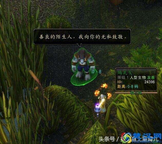 快！魔兽世界拯救“青蛙”大行动，绝版宠物带你抓！呱呱呱