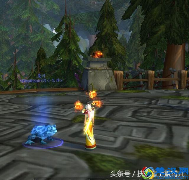 快！魔兽世界拯救“青蛙”大行动，绝版宠物带你抓！呱呱呱