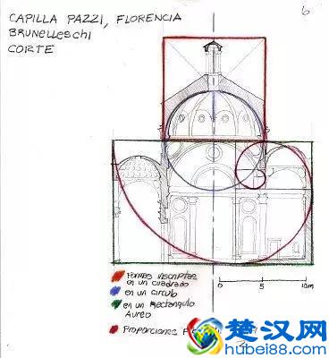 黄金比例为什么是“黄金”比例？