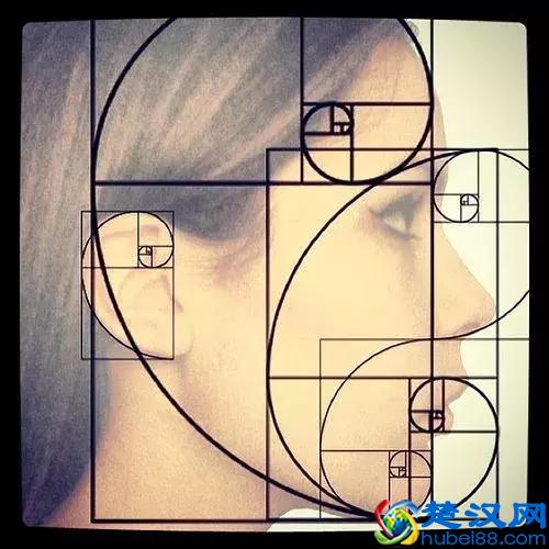 黄金比例为什么是“黄金”比例？