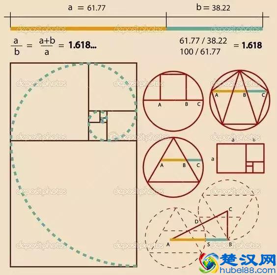 黄金比例为什么是“黄金”比例？