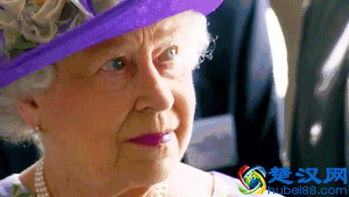 今年最流行什么颜色，当然是紫色了！