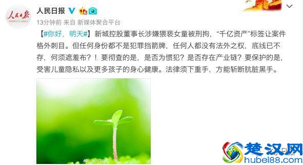 新城董事猥亵女童被拘，三大央媒火力全开，密集发声