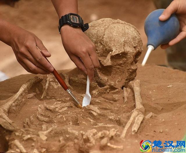 练春海丨考古怎么就成盗墓了？