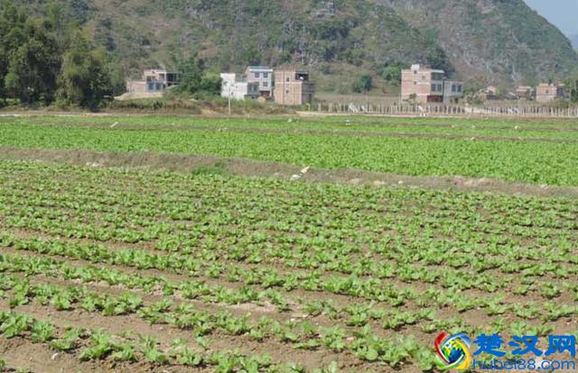 一亩地是多少平方米？