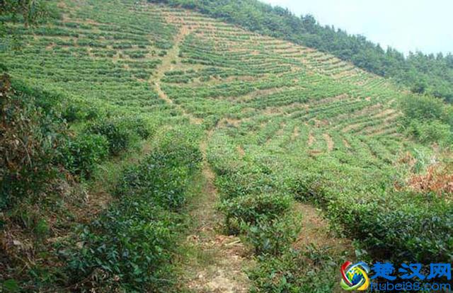 一亩地是多少平方米？