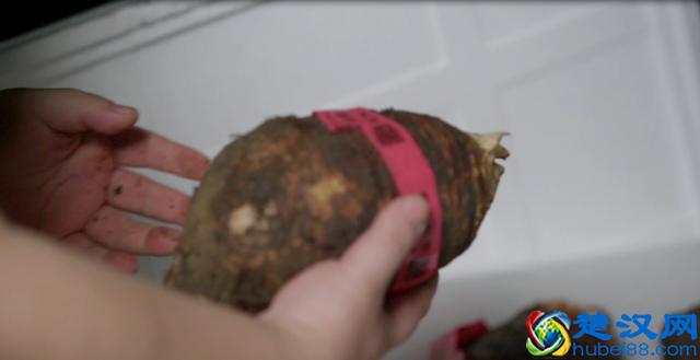 都说做生意难，他开一家火一家？杭州餐厅老板分享了独家秘密