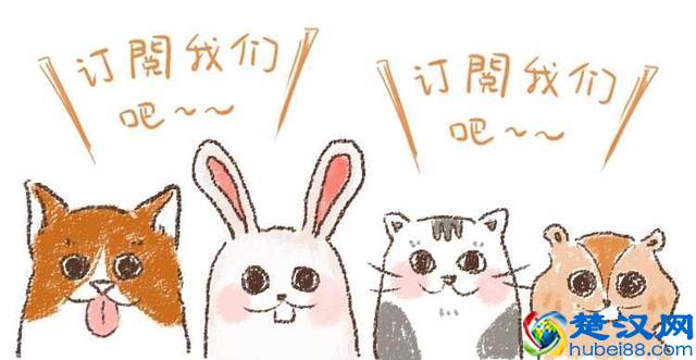 新加盟开设美甲店装修时应该注意的地方有哪些