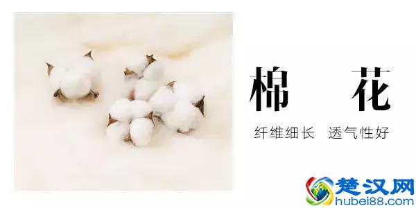 还在纠结衬衫面料选什么？看这篇就够啦