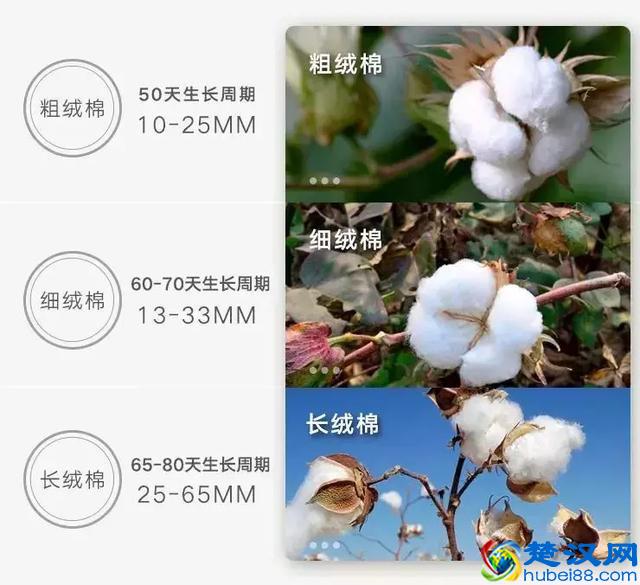 还在纠结衬衫面料选什么？看这篇就够啦