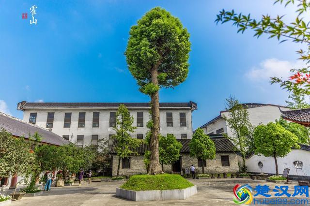 在安徽霍山“最美酒厂”，居然有美女在做这个