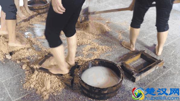 在安徽霍山“最美酒厂”，居然有美女在做这个