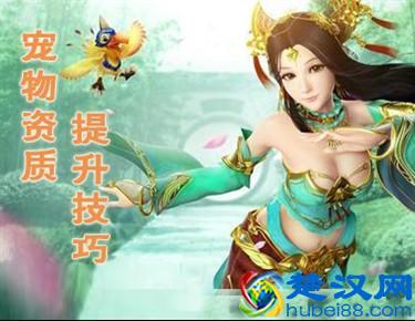 《神武》手游敏盘丝加点技巧 盘丝加点攻略