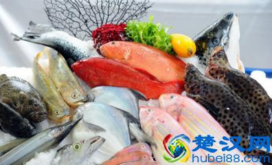 海鲜什么时候是旺季 海鲜什么时候最便宜