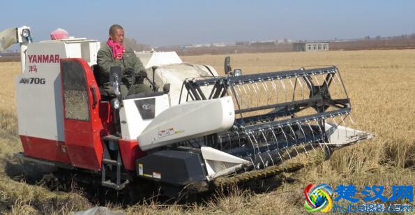 2017农村适合做什么生意