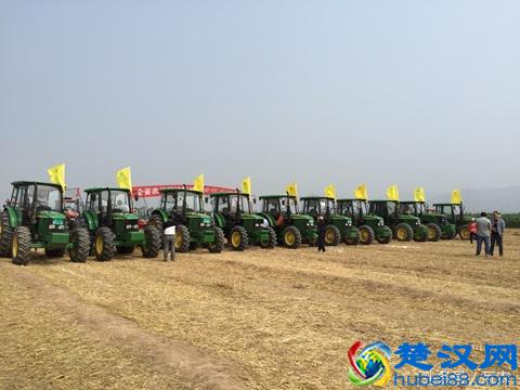 2017农村适合做什么生意