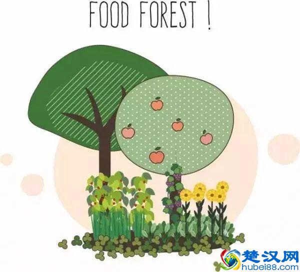 “好朋友”种植法火了！快来看看农作物们的“朋友”与“冤家”