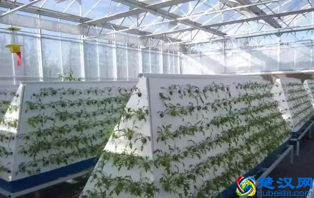 令人震撼的现代农业